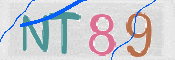 画像に表示された文字を入力して下さい