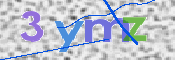 画像に表示された文字を入力して下さい