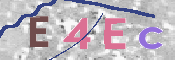画像に表示された文字を入力して下さい
