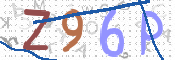 画像に表示された文字を入力して下さい