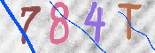 画像に表示された文字を入力して下さい