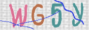 画像に表示された文字を入力して下さい
