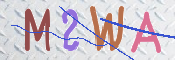画像に表示された文字を入力して下さい
