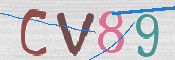 画像に表示された文字を入力して下さい