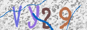 画像に表示された文字を入力して下さい