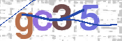 画像に表示された文字を入力して下さい