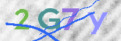 画像に表示された文字を入力して下さい