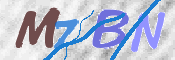 画像に表示された文字を入力して下さい