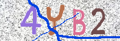 画像に表示された文字を入力して下さい