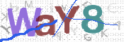 画像に表示された文字を入力して下さい