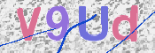 画像に表示された文字を入力して下さい
