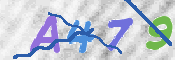 画像に表示された文字を入力して下さい