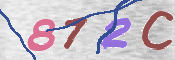 画像に表示された文字を入力して下さい