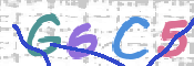 画像に表示された文字を入力して下さい