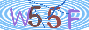 画像に表示された文字を入力して下さい