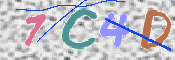 画像に表示された文字を入力して下さい
