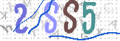 画像に表示された文字を入力して下さい