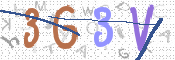 画像に表示された文字を入力して下さい