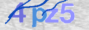 画像に表示された文字を入力して下さい