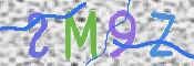 画像に表示された文字を入力して下さい