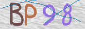 画像に表示された文字を入力して下さい