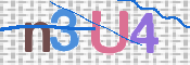 画像に表示された文字を入力して下さい