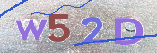 画像に表示された文字を入力して下さい