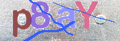 画像に表示された文字を入力して下さい