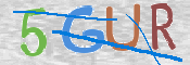 画像に表示された文字を入力して下さい