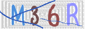 画像に表示された文字を入力して下さい