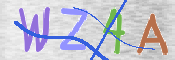 画像に表示された文字を入力して下さい