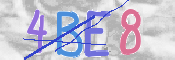 画像に表示された文字を入力して下さい