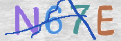 画像に表示された文字を入力して下さい