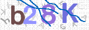 画像に表示された文字を入力して下さい