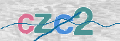 画像に表示された文字を入力して下さい