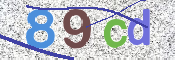 画像に表示された文字を入力して下さい