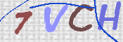 画像に表示された文字を入力して下さい