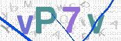 画像に表示された文字を入力して下さい