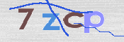 画像に表示された文字を入力して下さい