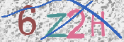 画像に表示された文字を入力して下さい