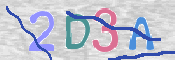 画像に表示された文字を入力して下さい