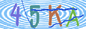 画像に表示された文字を入力して下さい