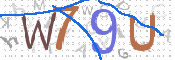 画像に表示された文字を入力して下さい