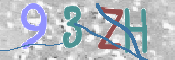 画像に表示された文字を入力して下さい