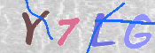 画像に表示された文字を入力して下さい