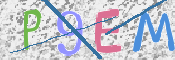 画像に表示された文字を入力して下さい
