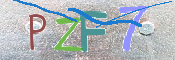 画像に表示された文字を入力して下さい