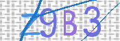 画像に表示された文字を入力して下さい