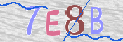 画像に表示された文字を入力して下さい
