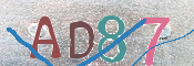 画像に表示された文字を入力して下さい
